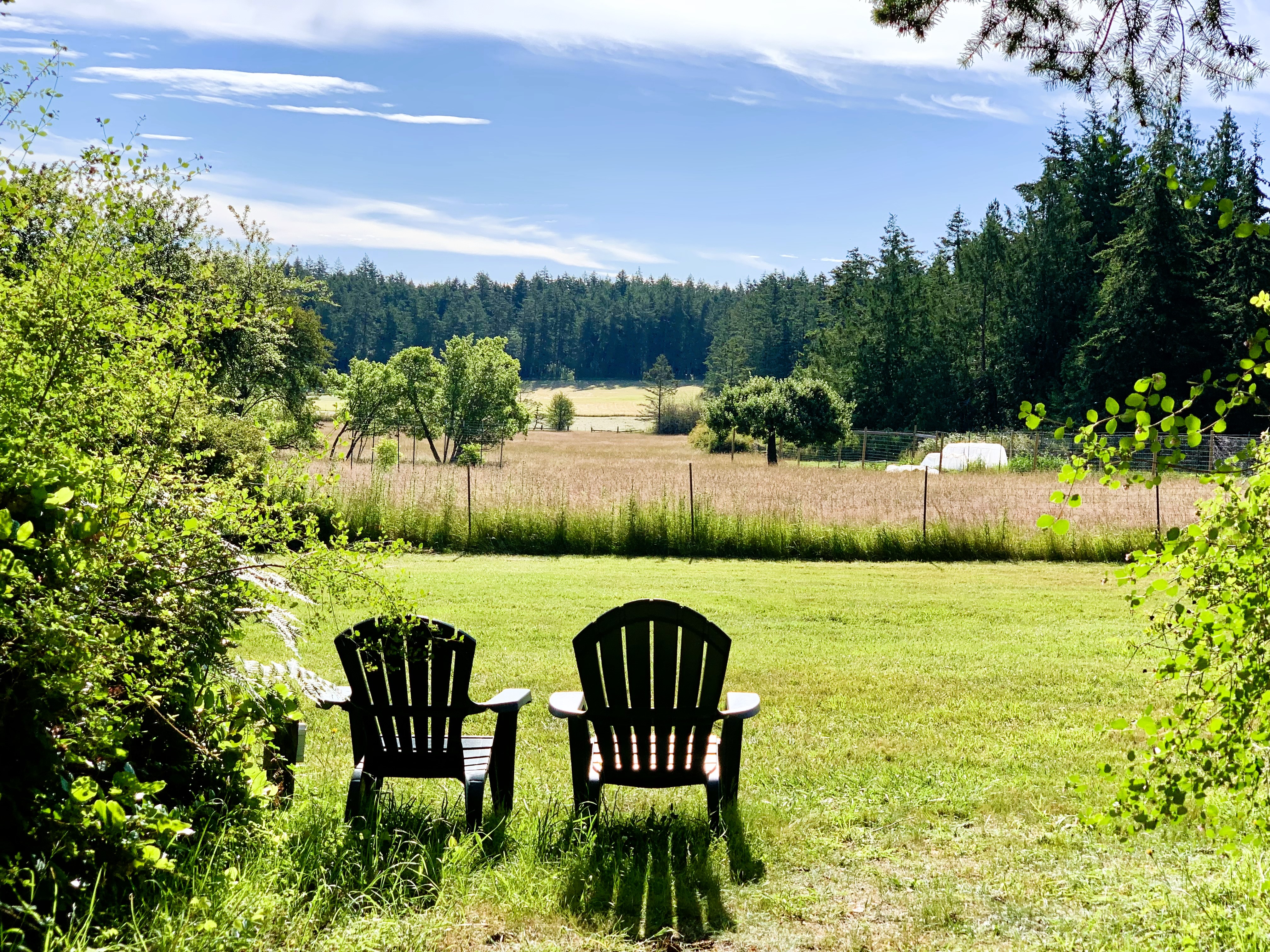 The view from our wall tent